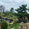 Landscape construction