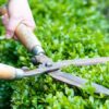 Landscape maintenance