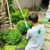 Landscape maintenance and care - HSB Vietnam