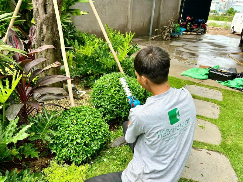 Landscape maintenance and care - HSB Vietnam