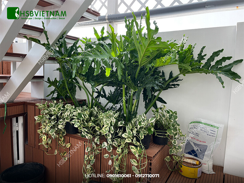 Design, construction and maintenance of landscape in Van Phuc urban area, Thu Duc city 4.jpg