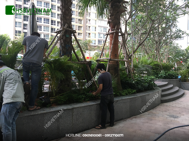Thi-cong-canh-quan-ho-boi-chung-cu-3.jpg
