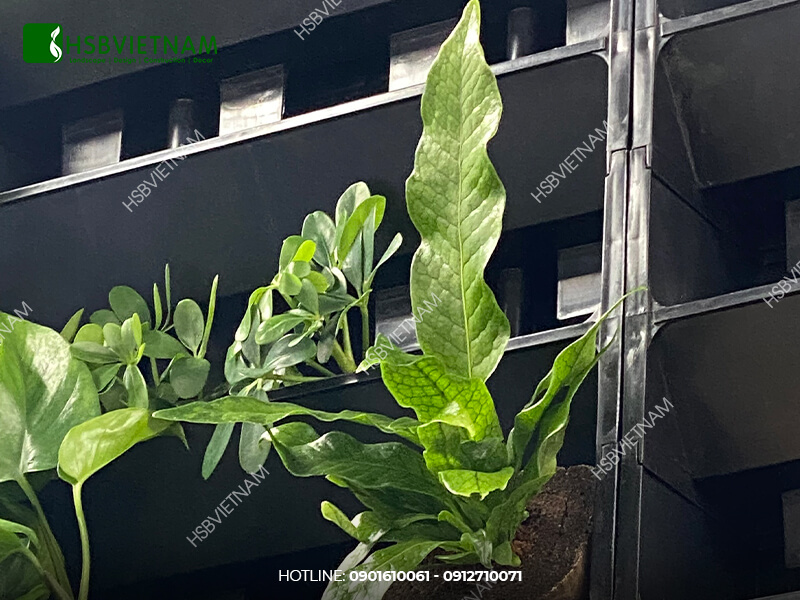 Thiet-ke-thi-cong-va-bao-duong-canh-quan-Vincom-Quan-1-Tp-HCM-1.jpg