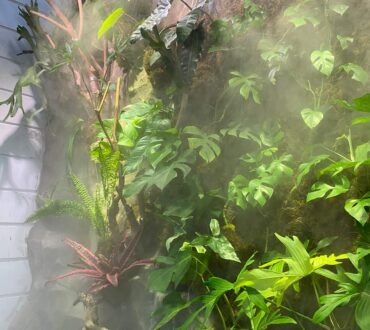 Tropical foliage wall