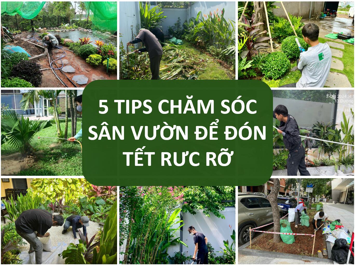 5 tips chăm sóc sân vườn để đón Tết rực rỡ