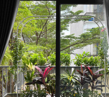 Landscape design and construction for townhouses.