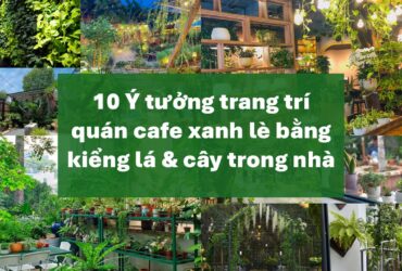 10 Ý Tưởng Trang Trí Quán Cafe Xanh Lè Bằng Kiểng Lá Và Cây Trong Nhà