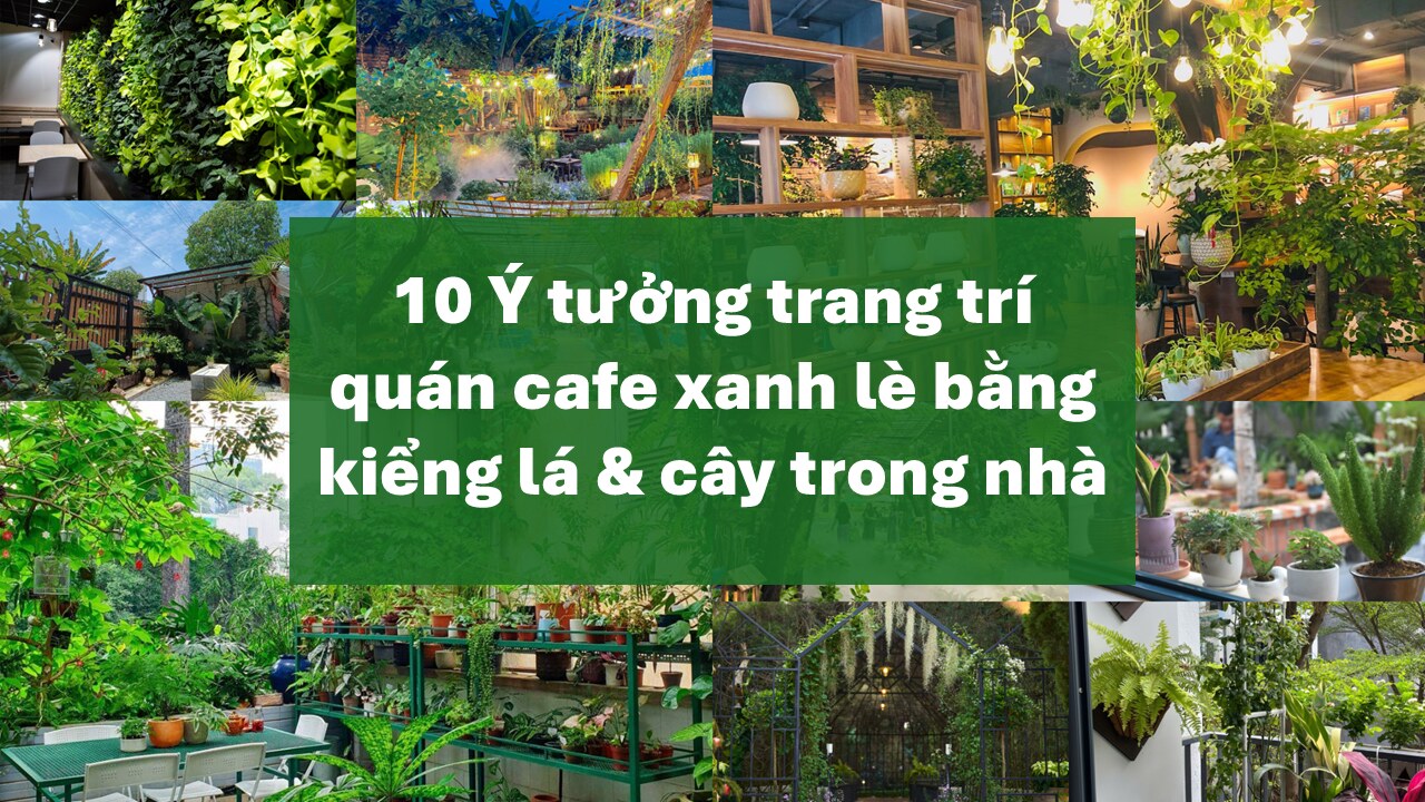 10 Ideas for Decorating a Green Cafe with Foliage and Indoor Plants
