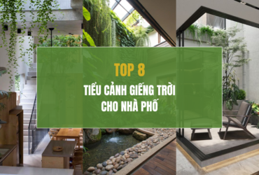 Các mẫu thiết kế tiểu cảnh giếng trời đẹp và ấn tượng cho nhà phố