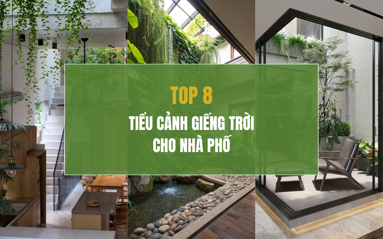 Các mẫu thiết kế tiểu cảnh giếng trời đẹp và ấn tượng cho nhà phố