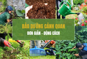 Hướng dẫn chăm sóc và bảo dưỡng cảnh quan đúng cách