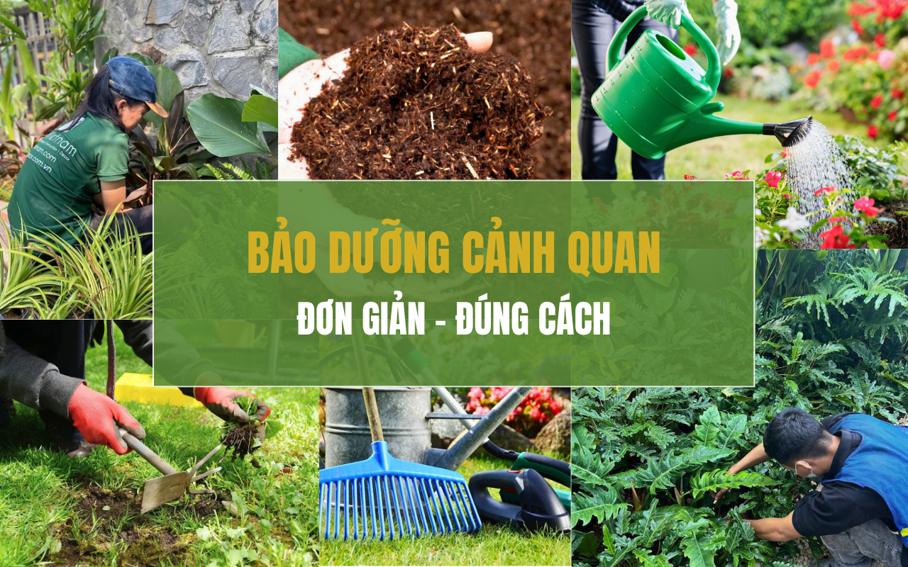 Hướng dẫn chăm sóc và bảo dưỡng cảnh quan đúng cách