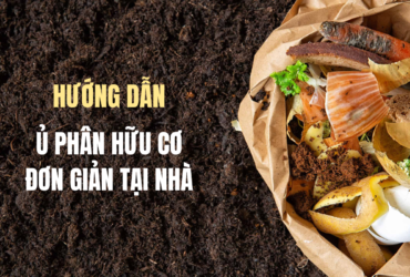 Hướng dẫn chi tiết cách ủ phân hữu cơ tại nhà đơn giản, đúng cách từ rác nhà bếp