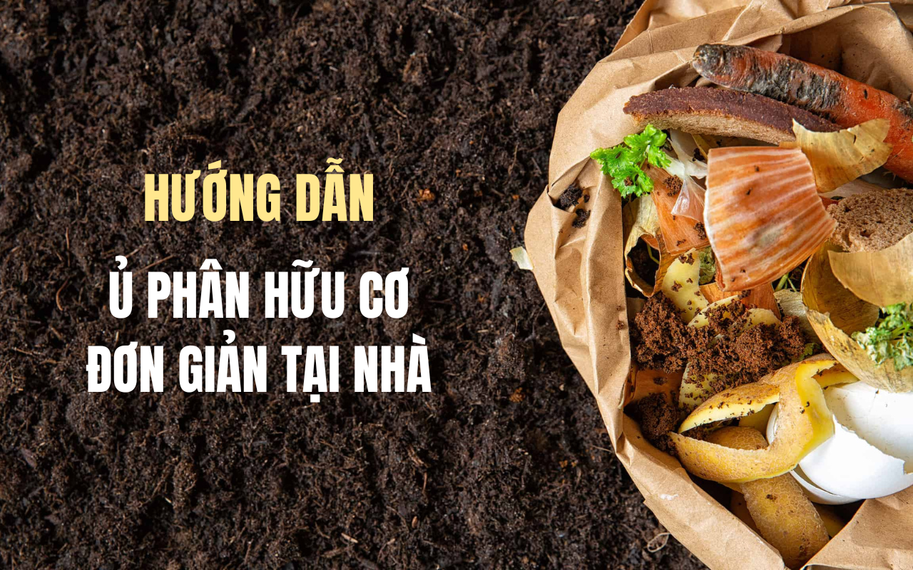Detailed instructions on how to easily and properly compost kitchen waste at home.