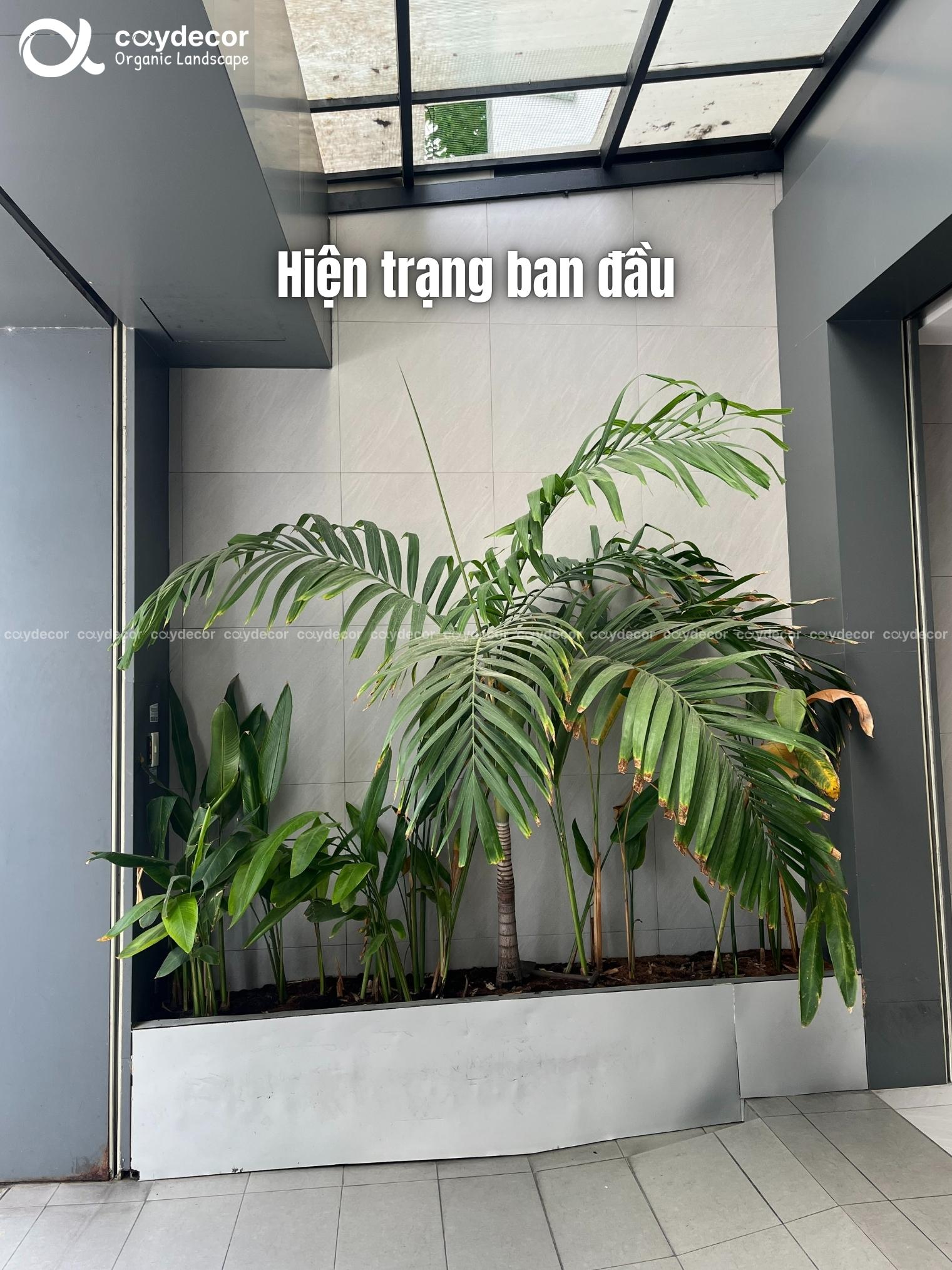 thi-cong-canh-quan-nha-pho-quan-8-13.jpg