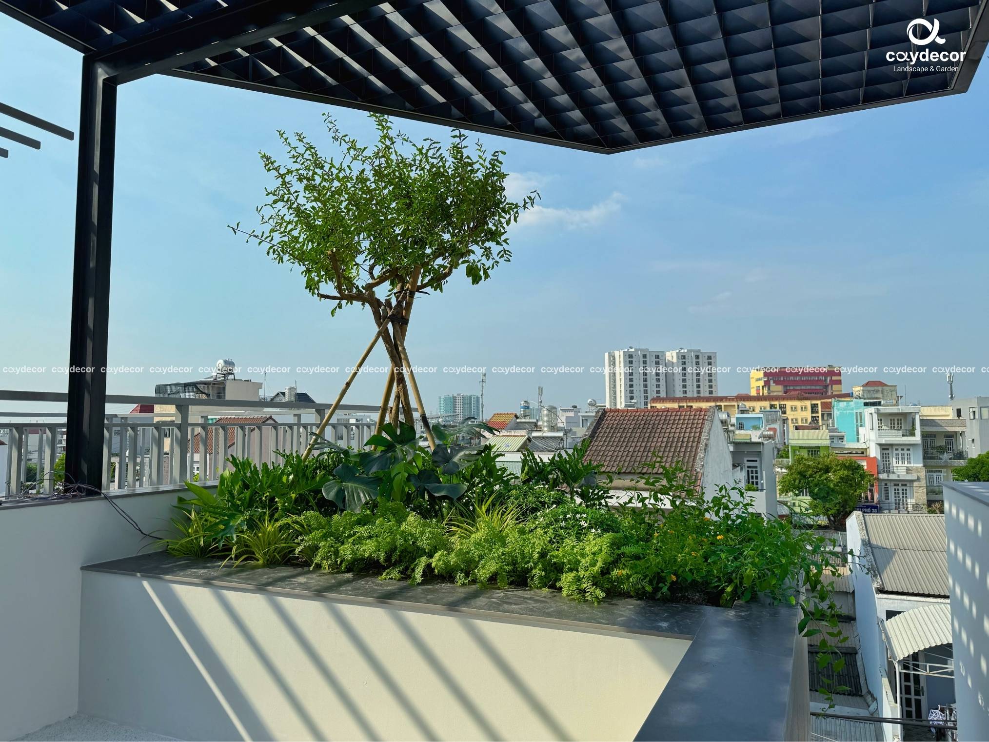 trong-cay-nha-pho-5.jpg