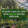 bí quyết chọn cây cảnh quan phù hợp khí hậu miền nam
