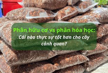 Phân hữu cơ vs phân hóa học: Cái nào thực sự tốt hơn cho cây cảnh quan?