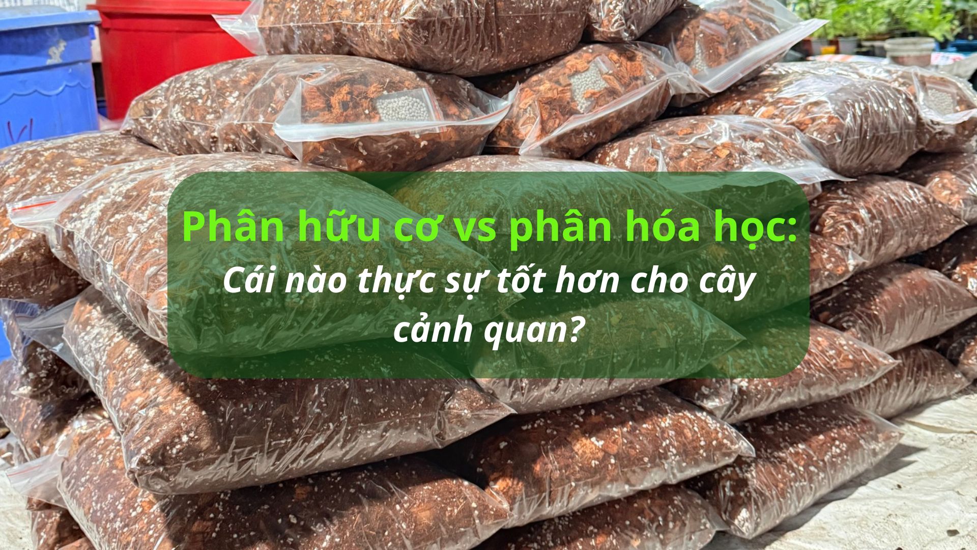 Phân hữu cơ vs phân hóa học: Cái nào thực sự tốt hơn cho cây cảnh quan?