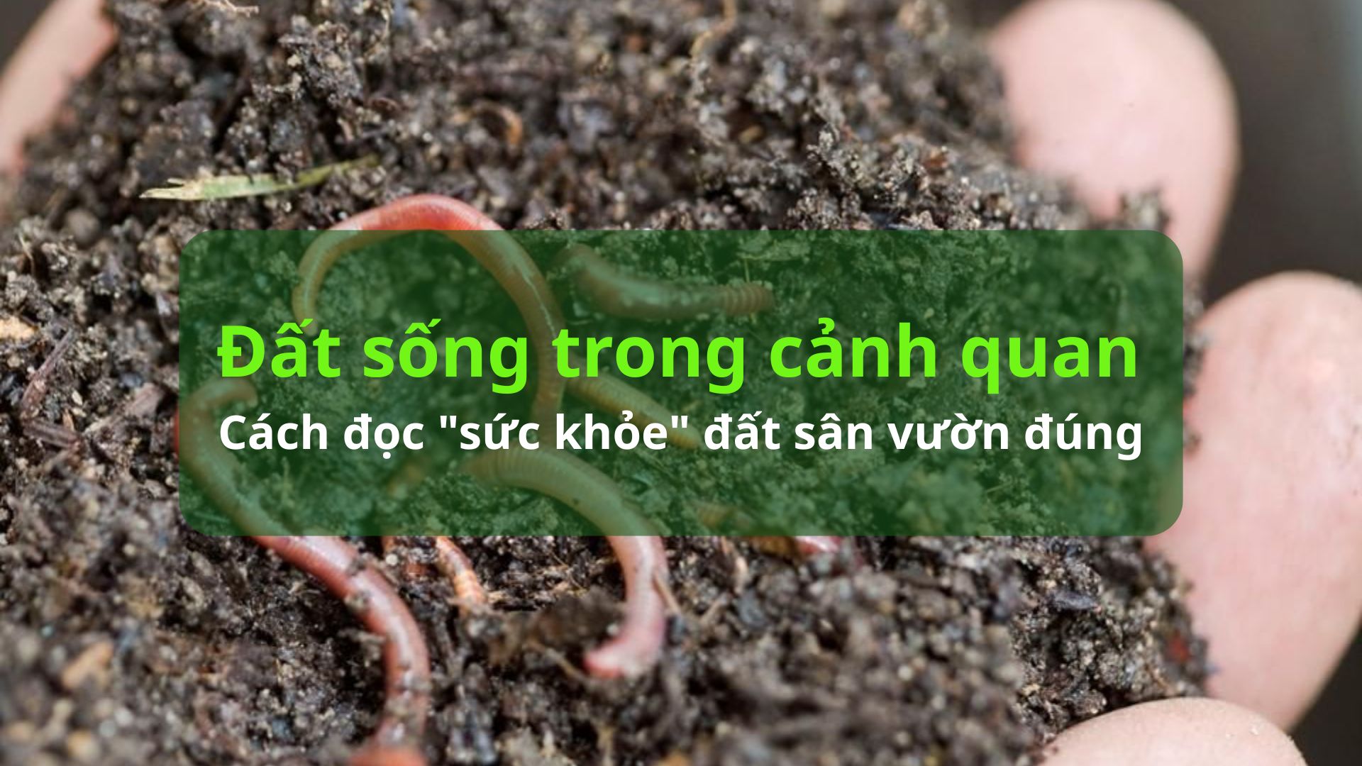 What is living soil in a landscape? How to properly assess the "health" of your garden soil.