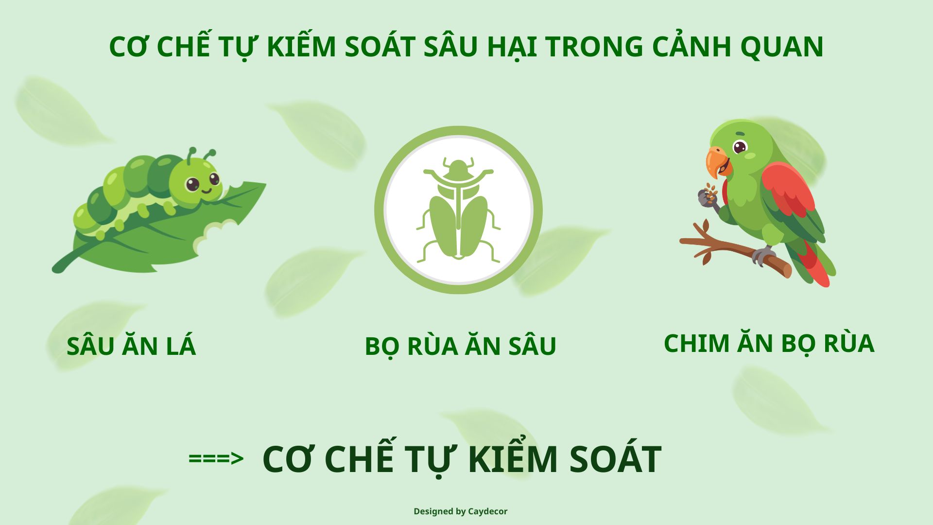 Hệ sinh thái sân vườn là gì? Vì sao côn trùng và giun đất là "đồng minh" của bạn