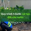 5-Step Process for Garden Land Reclamation