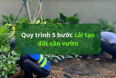 Quy trình 5 bước cải tạo đất sân vườn
