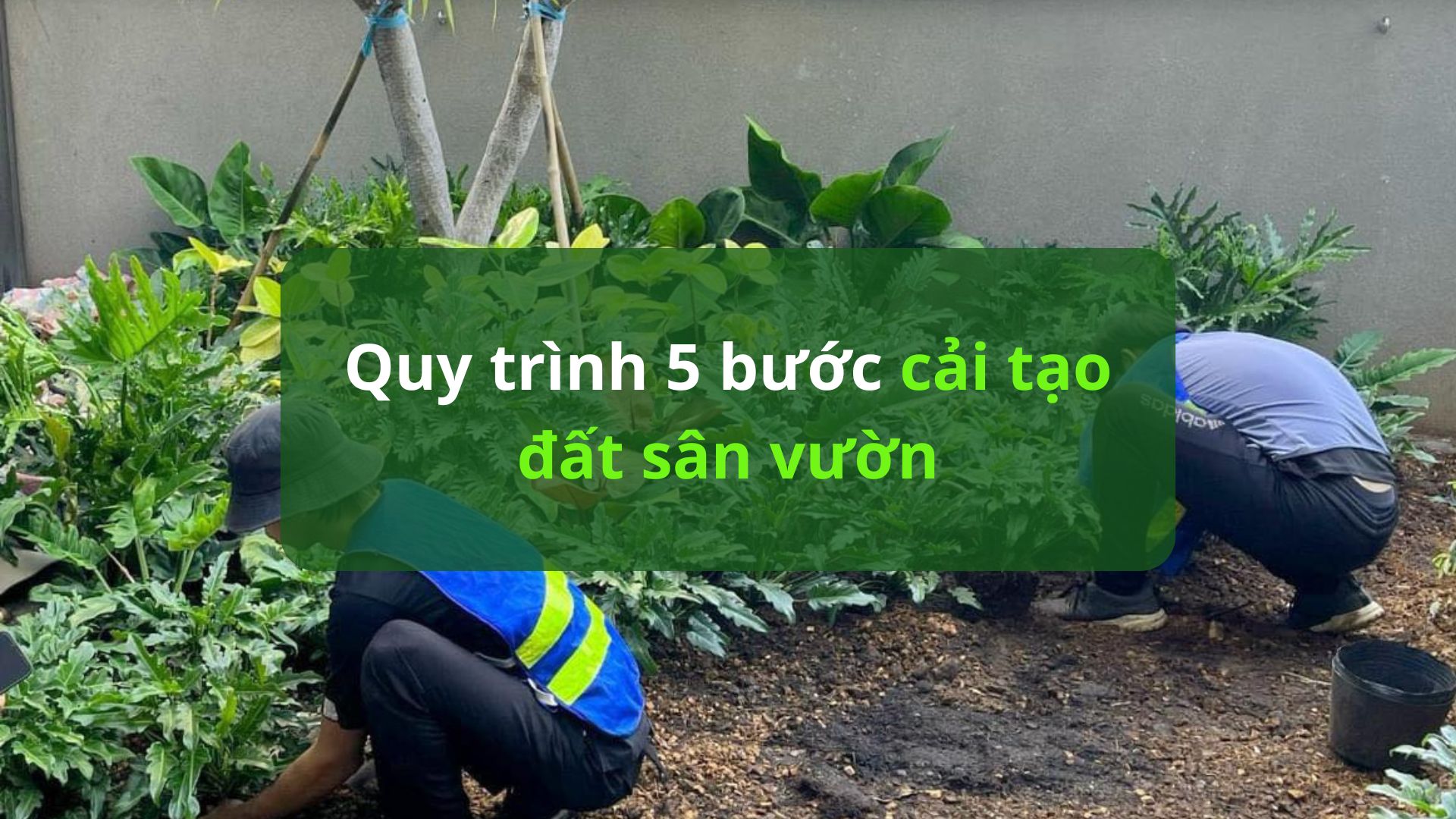 5-Step Process for Garden Land Reclamation