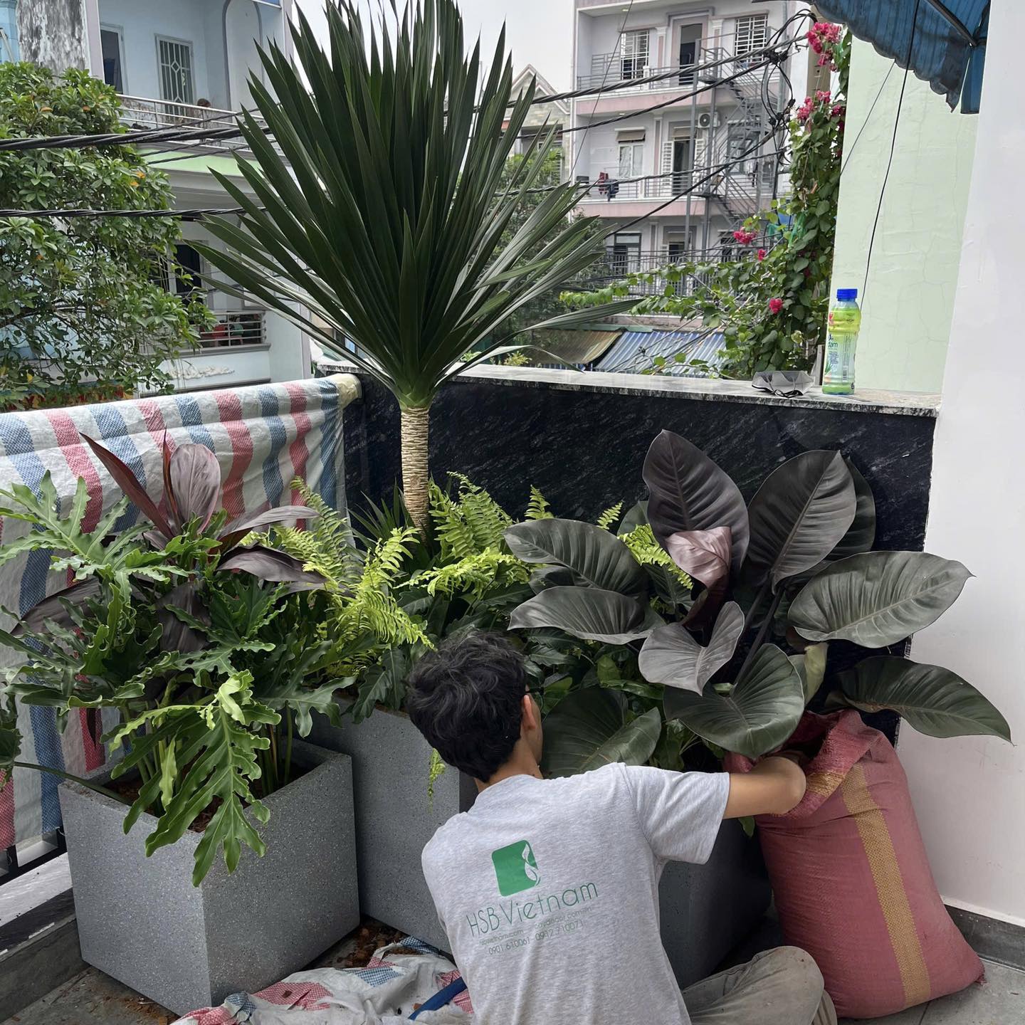 Hệ sinh thái sân vườn là gì? Vì sao côn trùng và giun đất là "đồng minh" của bạn