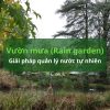 Vườn mưa