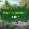 Healing Garden: A Perspective from a Healthy Ecosystem