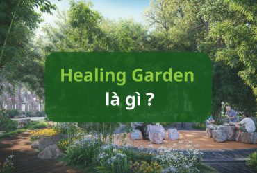 Sân vườn trị liệu (Healing Garden): Góc nhìn từ hệ sinh thái khỏe mạnh