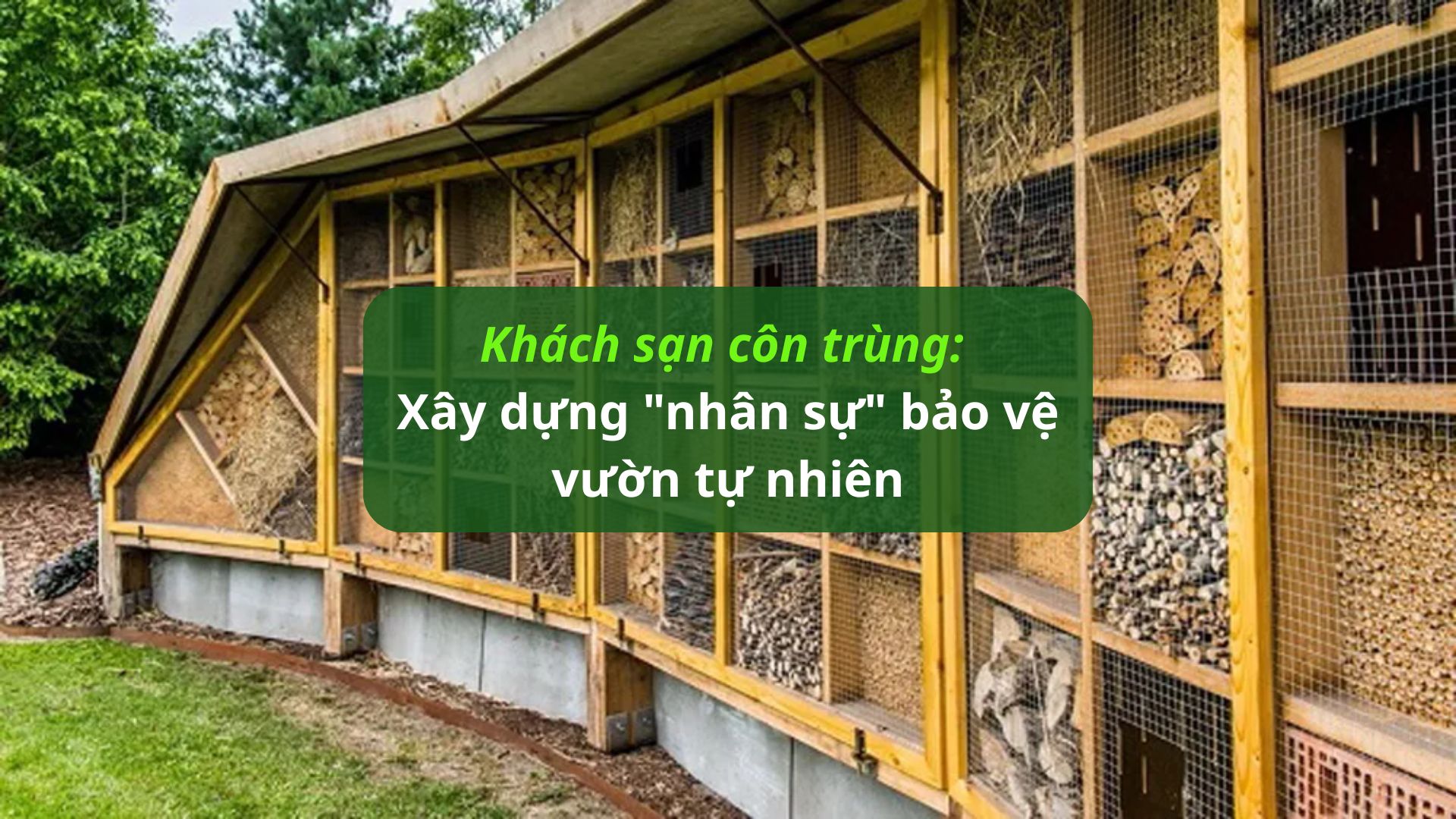 Insect Hotel: Building a "staff" to protect the natural garden.