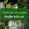 thiết kế sân vườn thuần hữu cơ
