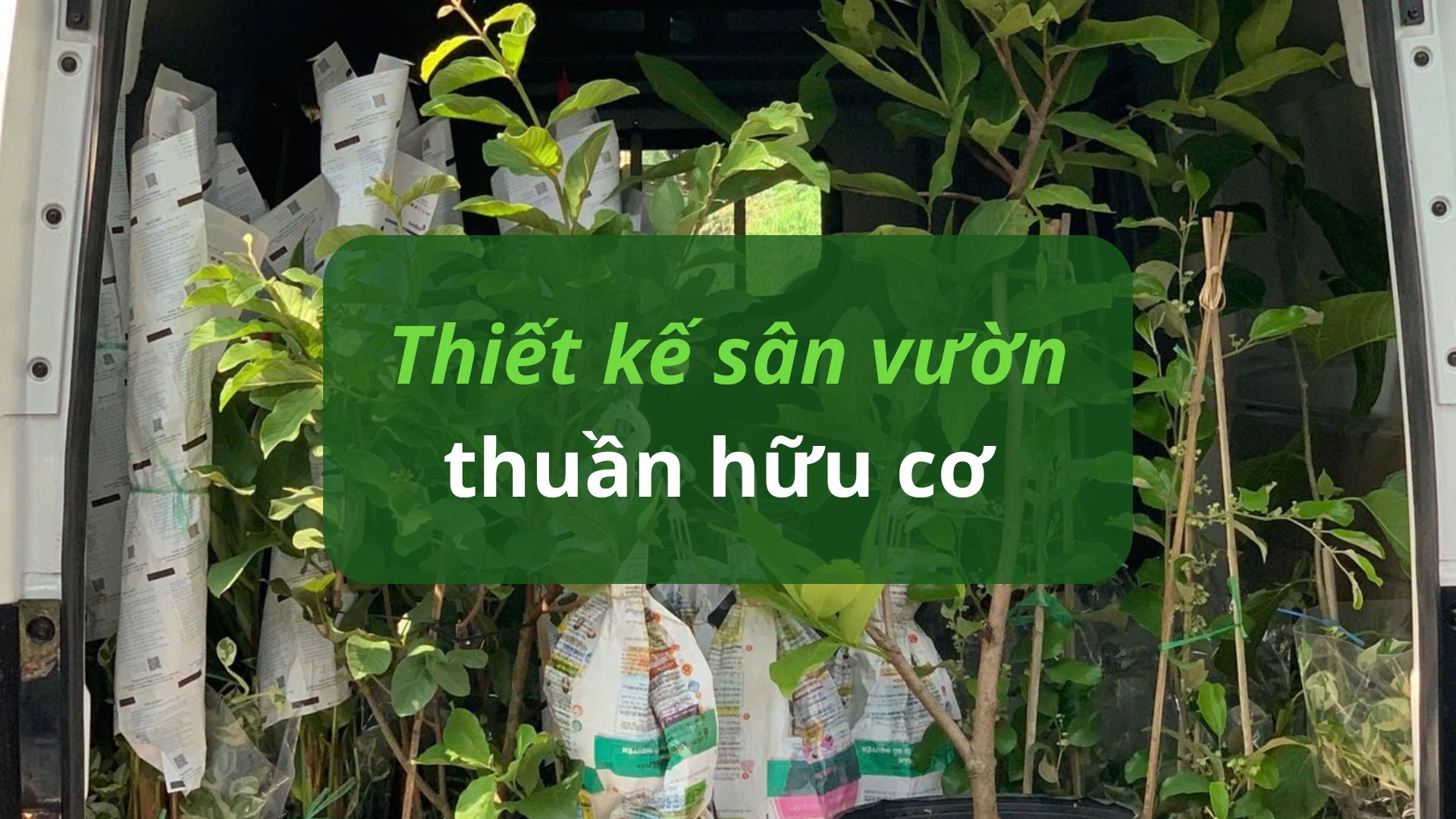 thiết kế sân vườn thuần hữu cơ