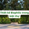 Biophilic design in villas